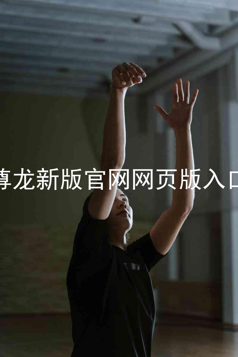 尊龙新版官网网页版入口